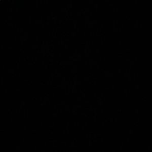 Meet your Posher, Edwin